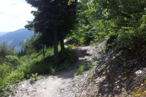 Mountainbiken im Einklang mit der Natur